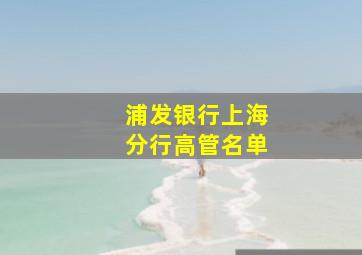 浦发银行上海分行高管名单