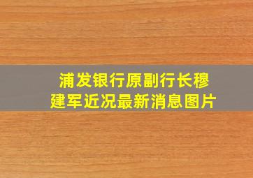 浦发银行原副行长穆建军近况最新消息图片