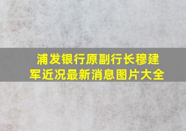 浦发银行原副行长穆建军近况最新消息图片大全