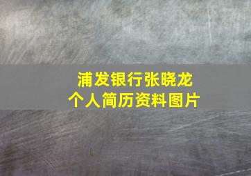 浦发银行张晓龙个人简历资料图片