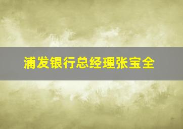 浦发银行总经理张宝全