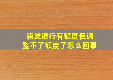 浦发银行有额度但调整不了额度了怎么回事