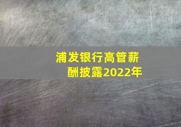 浦发银行高管薪酬披露2022年