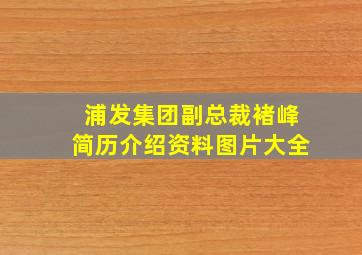 浦发集团副总裁褚峰简历介绍资料图片大全