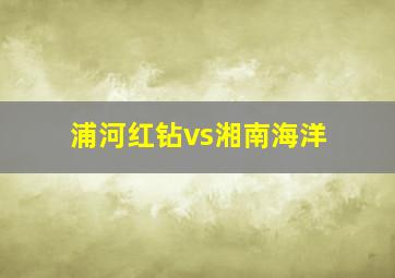 浦河红钻vs湘南海洋