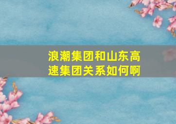 浪潮集团和山东高速集团关系如何啊