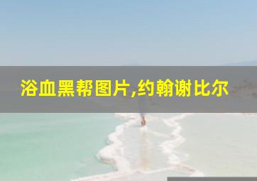 浴血黑帮图片,约翰谢比尔