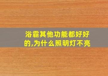 浴霸其他功能都好好的,为什么照明灯不亮