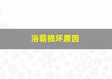 浴霸损坏原因