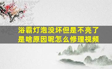 浴霸灯泡没坏但是不亮了是啥原因呢怎么修理视频