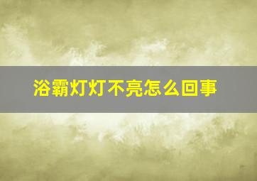 浴霸灯灯不亮怎么回事