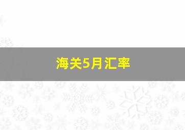 海关5月汇率