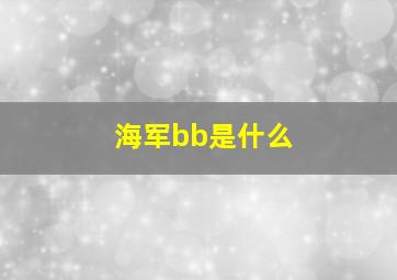 海军bb是什么