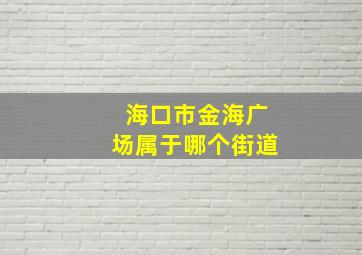 海口市金海广场属于哪个街道