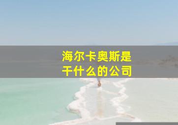 海尔卡奥斯是干什么的公司