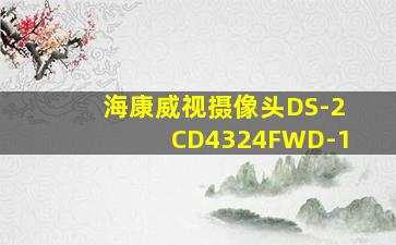 海康威视摄像头DS-2CD4324FWD-1