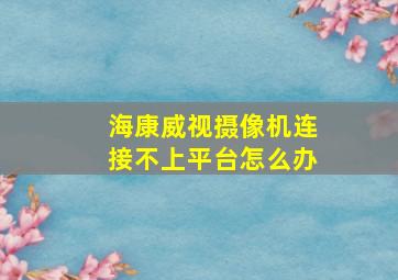 海康威视摄像机连接不上平台怎么办