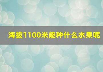 海拔1100米能种什么水果呢