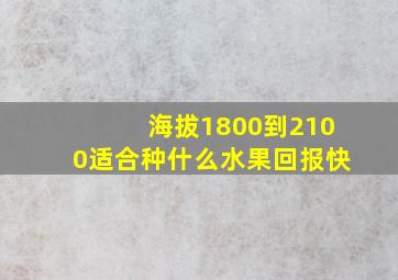 海拔1800到2100适合种什么水果回报快