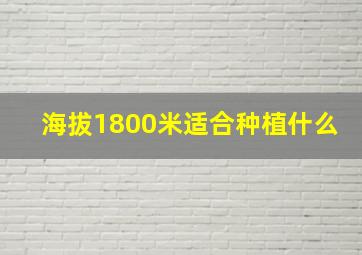 海拔1800米适合种植什么