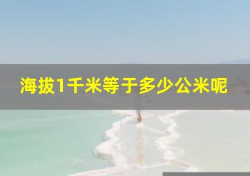 海拔1千米等于多少公米呢