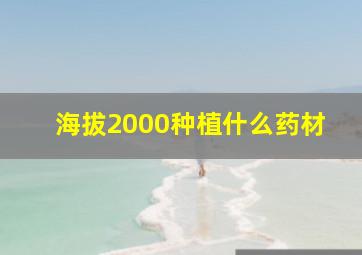 海拔2000种植什么药材