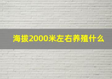 海拔2000米左右养殖什么