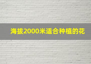 海拔2000米适合种植的花