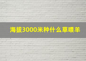 海拔3000米种什么草喂羊