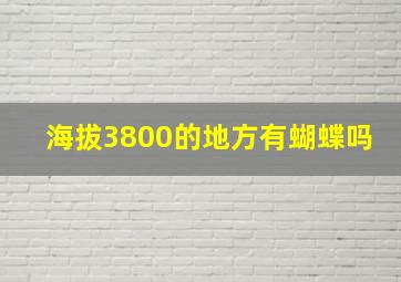 海拔3800的地方有蝴蝶吗