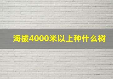 海拔4000米以上种什么树