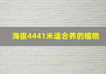 海拔4441米适合养的植物