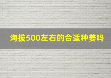 海拔500左右的合适种姜吗