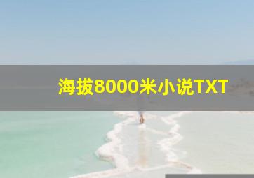 海拔8000米小说TXT