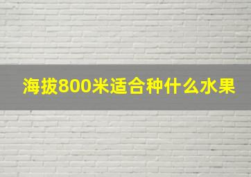 海拔800米适合种什么水果