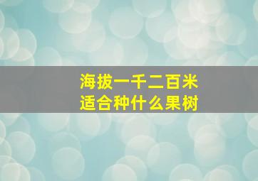 海拔一千二百米适合种什么果树