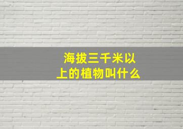 海拔三千米以上的植物叫什么