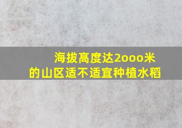 海拔髙度达2ooo米的山区适不适宜种植水稻