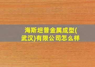 海斯坦普金属成型(武汉)有限公司怎么样