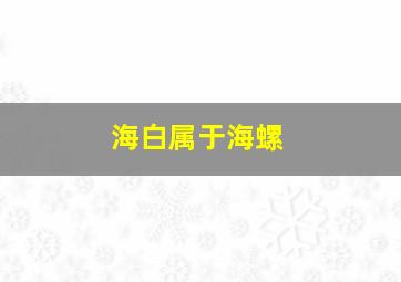 海白属于海螺