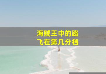 海贼王中的路飞在第几分档