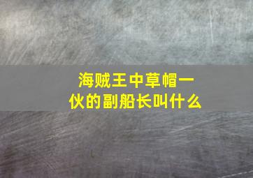 海贼王中草帽一伙的副船长叫什么