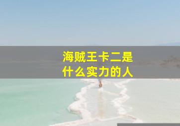 海贼王卡二是什么实力的人