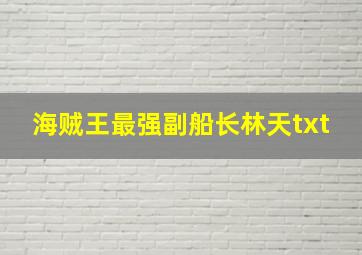 海贼王最强副船长林天txt