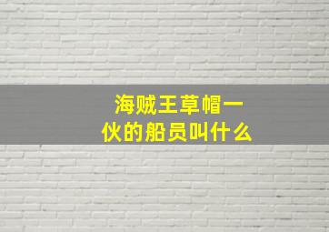 海贼王草帽一伙的船员叫什么