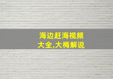 海边赶海视频大全,大梅解说