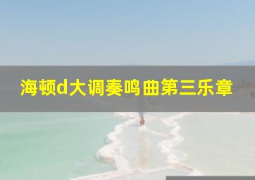 海顿d大调奏鸣曲第三乐章