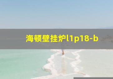 海顿壁挂炉l1p18-b