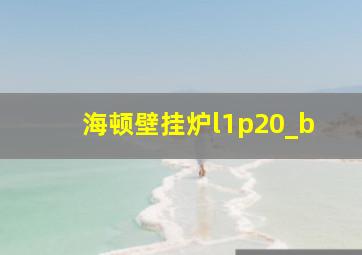 海顿壁挂炉l1p20_b