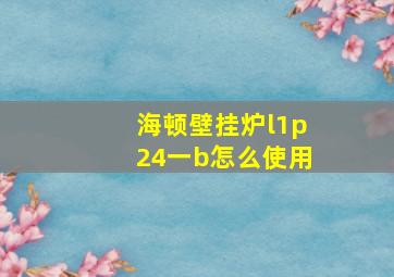 海顿壁挂炉l1p24一b怎么使用